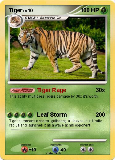 Pokemon Tiger