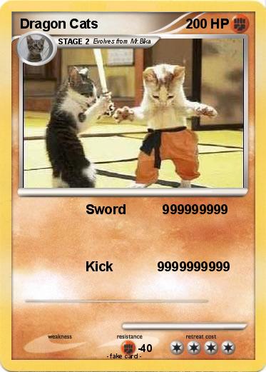 Pokemon Dragon Cats