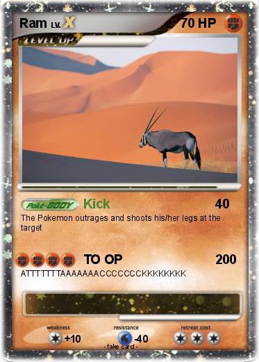 Pokemon Ram