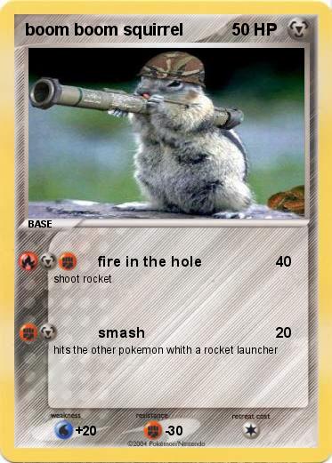 Pokemon boom boom squirrel