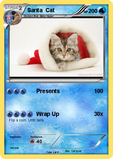 Pokemon Santa  Cat