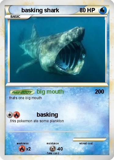 Pokemon basking shark