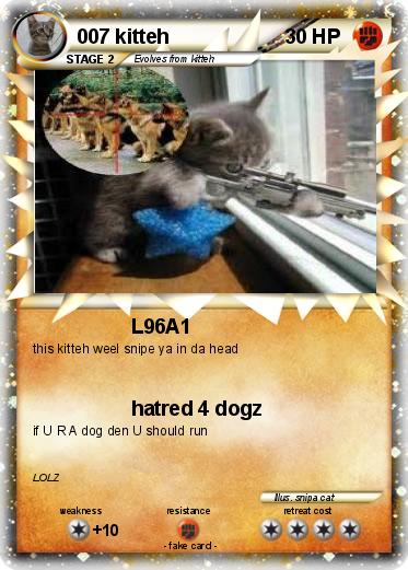 Pokemon 007 kitteh