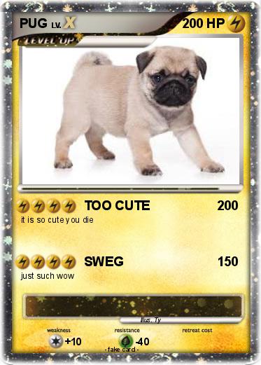 Pokemon PUG