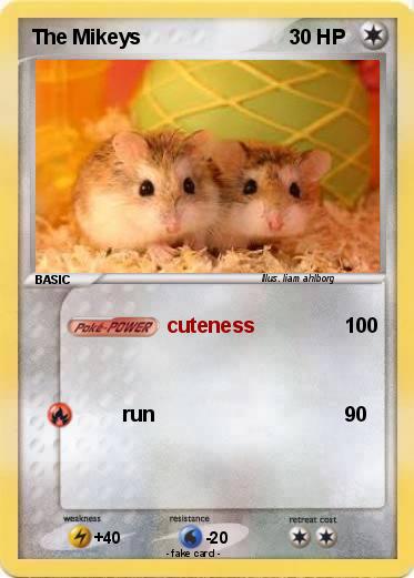 Pokemon The Mikeys