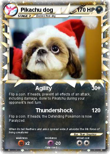 Pokemon Pikachu dog