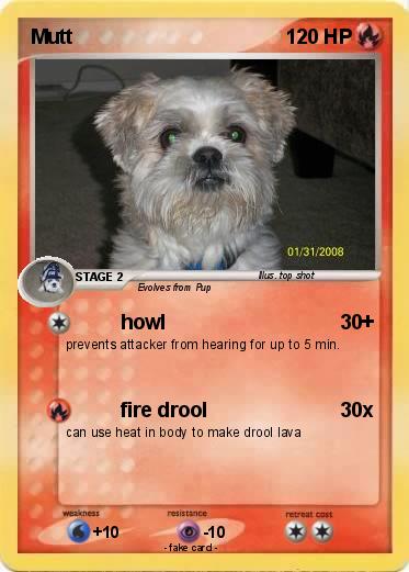 Pokemon Mutt