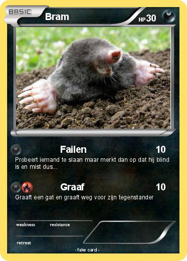 Pokemon Bram