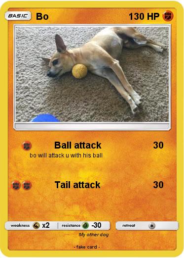Pokemon Bo