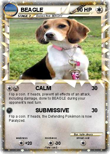 Pokemon BEAGLE