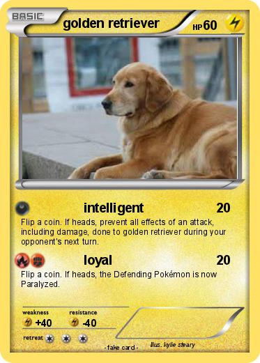 Pokemon golden retriever