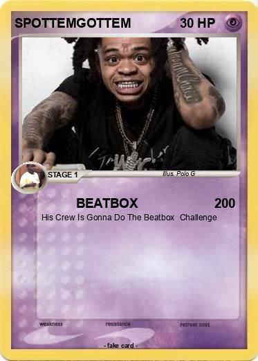 Pokemon SPOTTEMGOTTEM