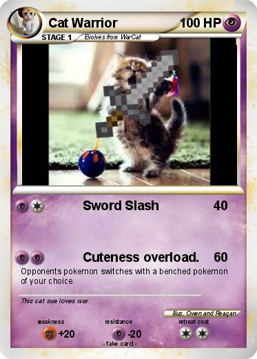 Pokemon Cat Warrior