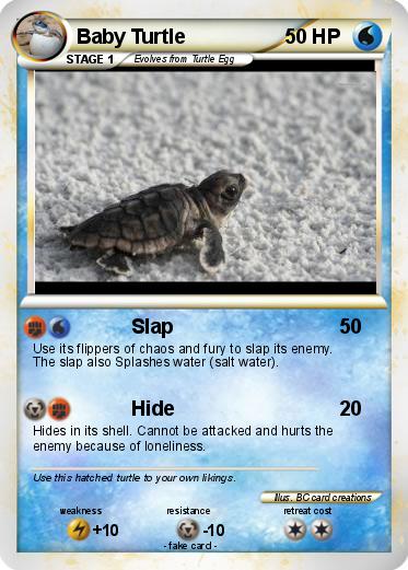 Pokemon Baby Turtle