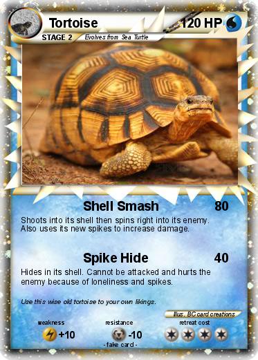 Pokemon Tortoise
