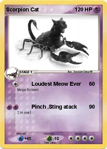 Pokemon Scorpion Cat