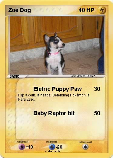 Pokemon Zoe Dog
