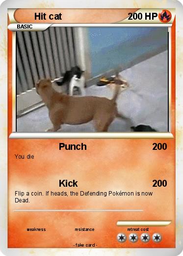 Pokemon Hit cat