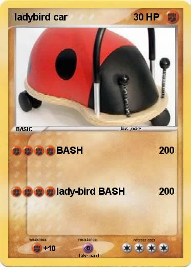 Pokemon ladybird car