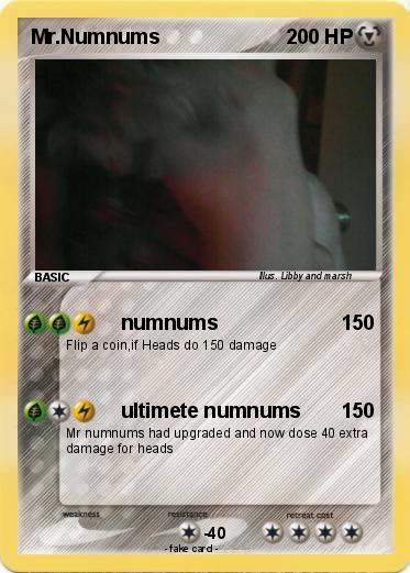 Pokemon Mr.Numnums
