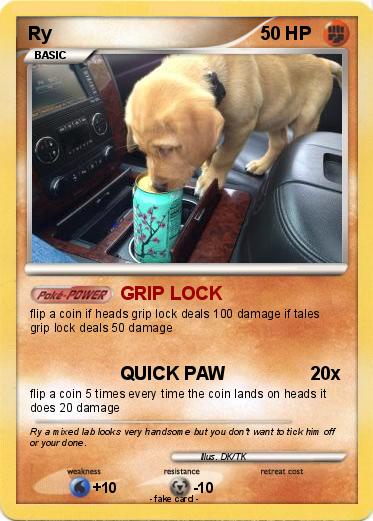Pokemon Ry