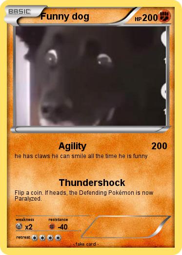 Pokemon Funny dog