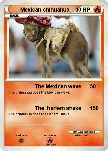 Pokemon Mexican chihuahua