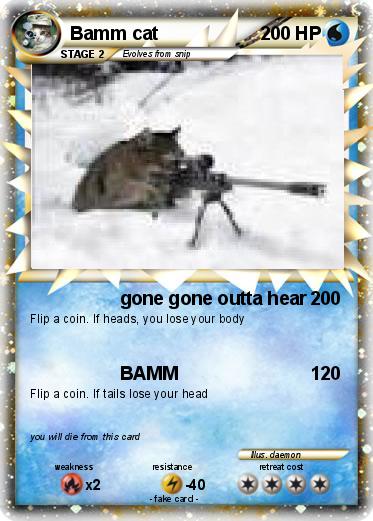 Pokemon Bamm cat