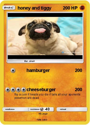 Pokemon honey and tiggy