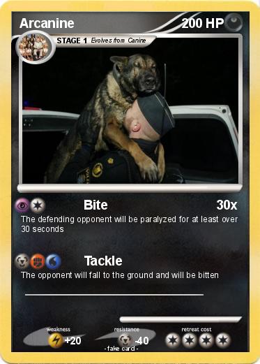 Pokemon Arcanine