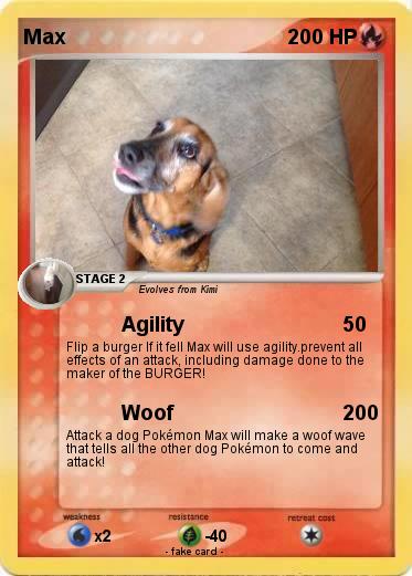 Pokemon Max