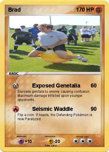 Pokemon Brad