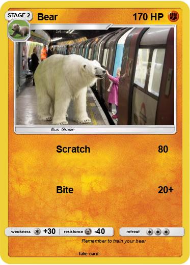 Pokemon Bear