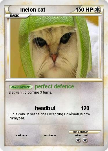 Pokemon melon cat
