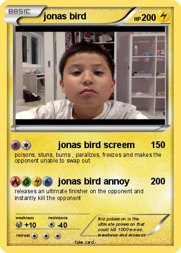 Pokemon jonas bird