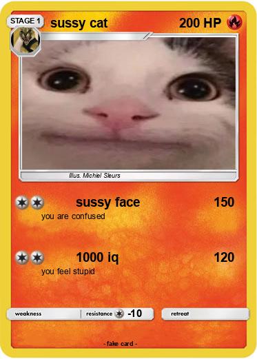 Pokemon sussy cat