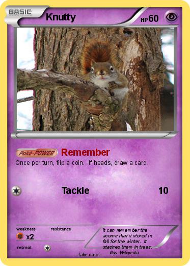 Pokemon Knutty