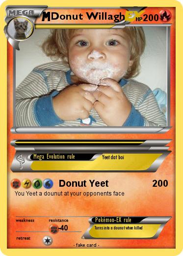 Pokemon Donut Willagh