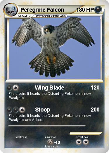Pokemon Peregrine Falcon