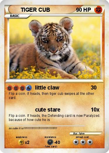 Pokemon TIGER CUB