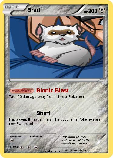 Pokemon Brad