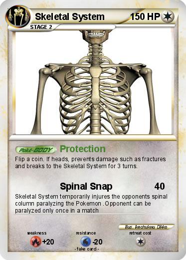 Pokemon Skeletal System