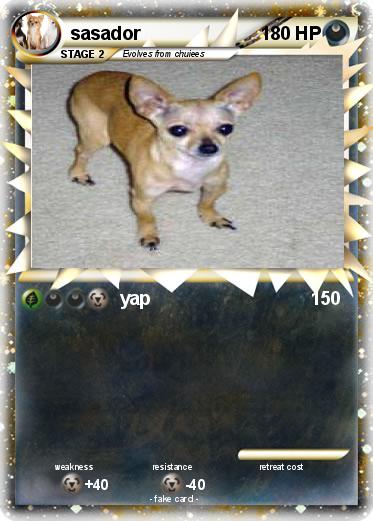Pokemon sasador