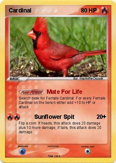 Pokemon Cardinal