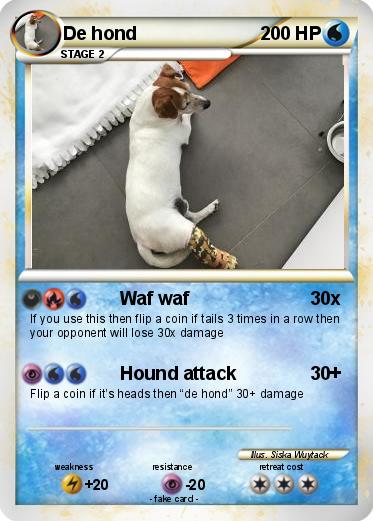 Pokemon De hond
