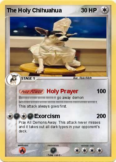 Pokemon The Holy Chihuahua