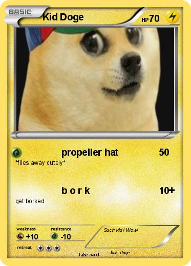 Pokemon Kid Doge