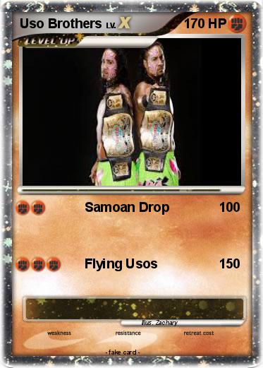 Pokemon Uso Brothers