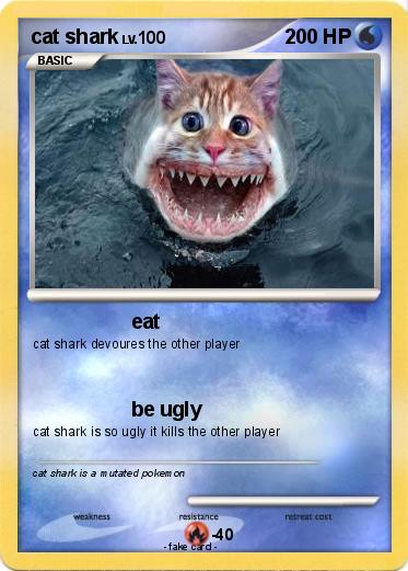 Pokemon cat shark