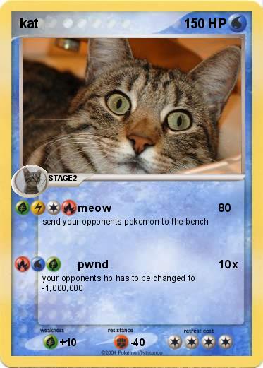 Pokemon kat